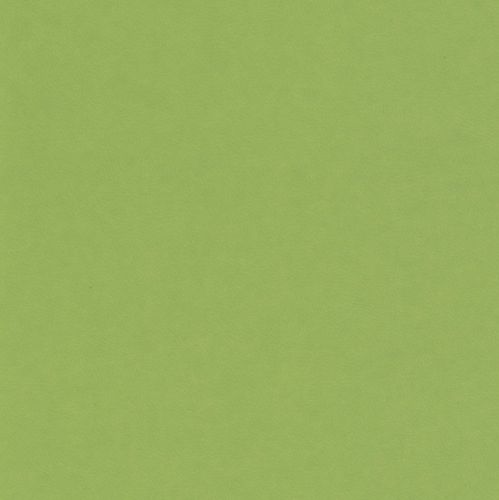 6748-cukierek-pistacja